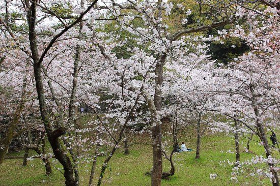 Parco Nishi
